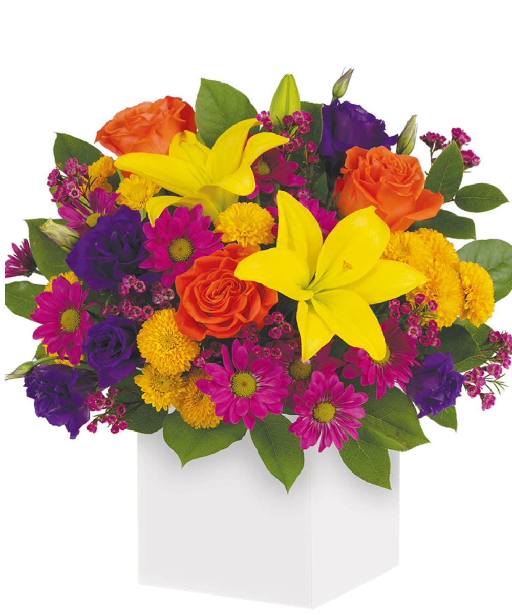 import placeholder for 3123