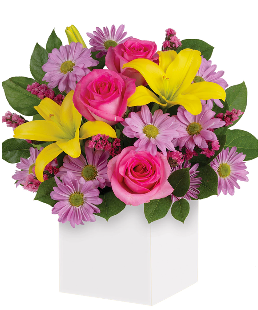 import placeholder for 3112