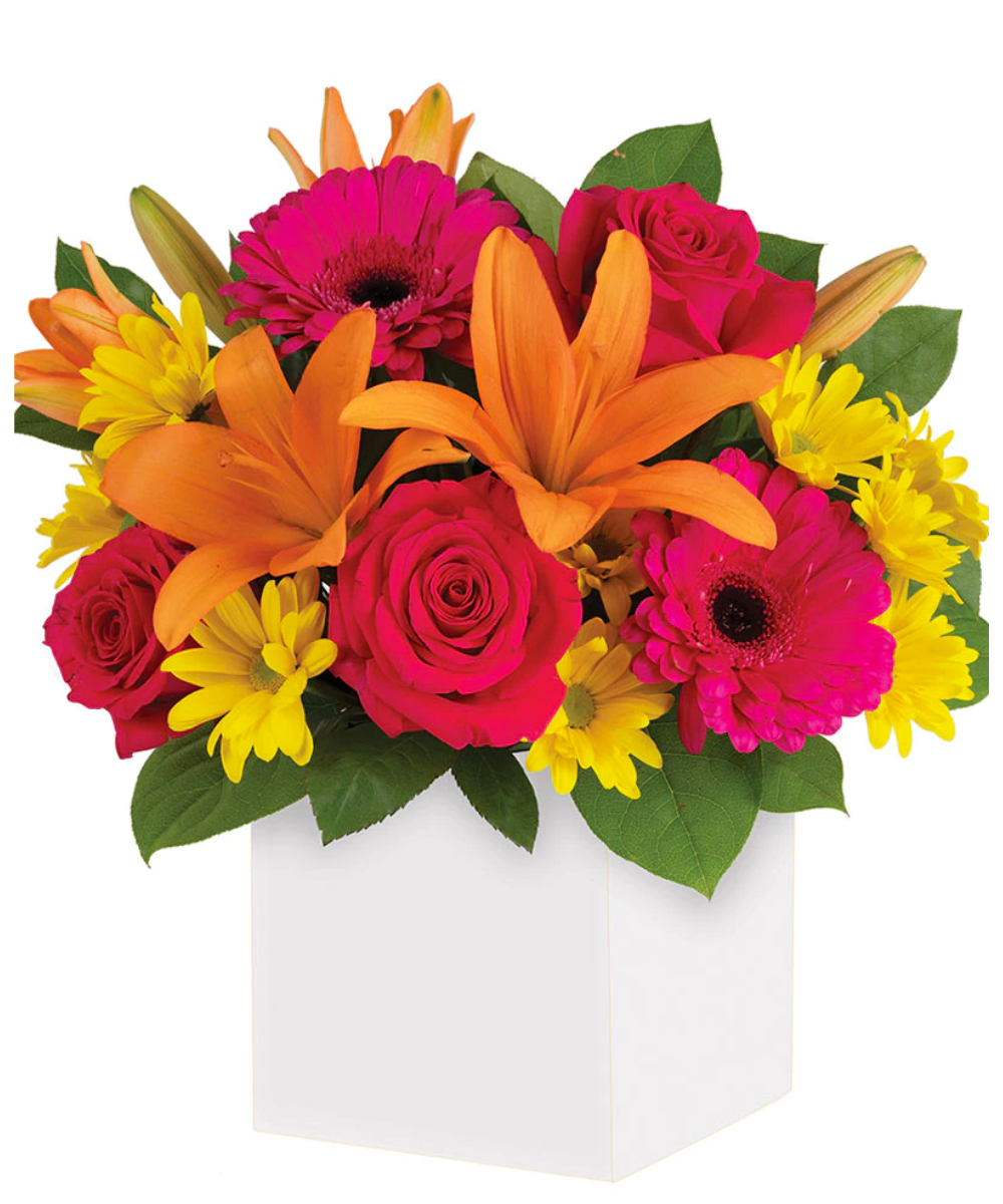 import placeholder for 3106