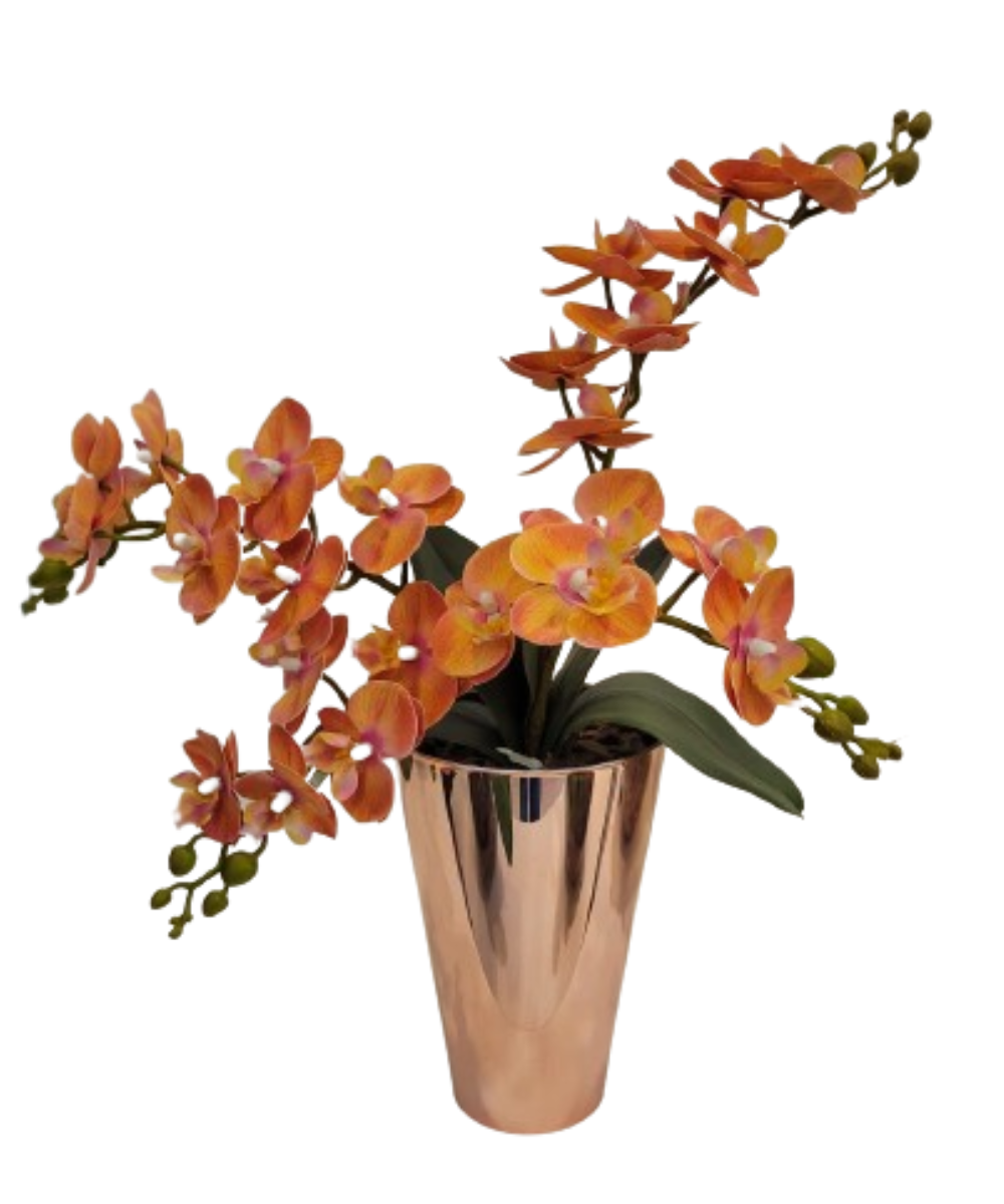 import placeholder for 2852