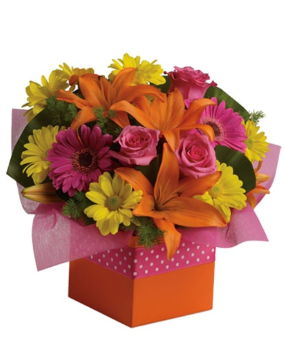 import placeholder for 2896