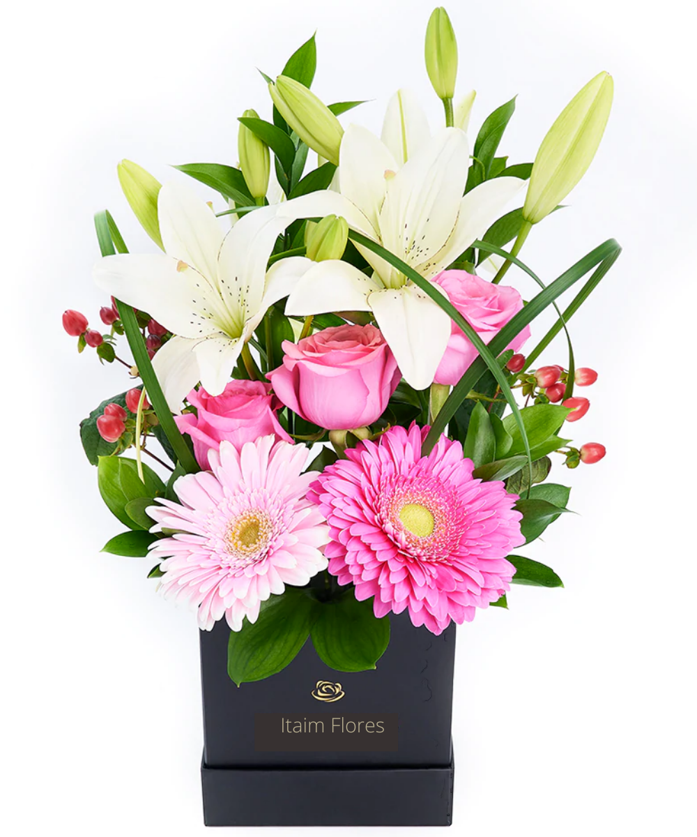 import placeholder for 3342