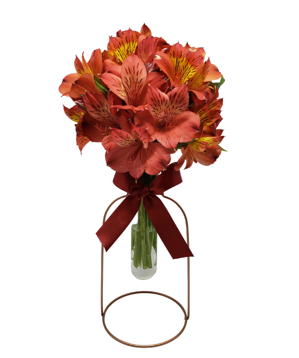 import placeholder for 2913