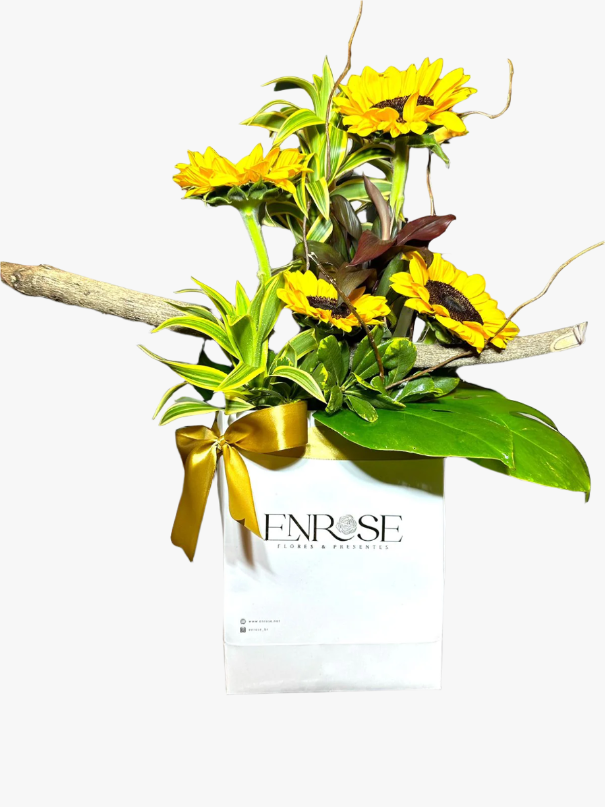 import placeholder for 2483