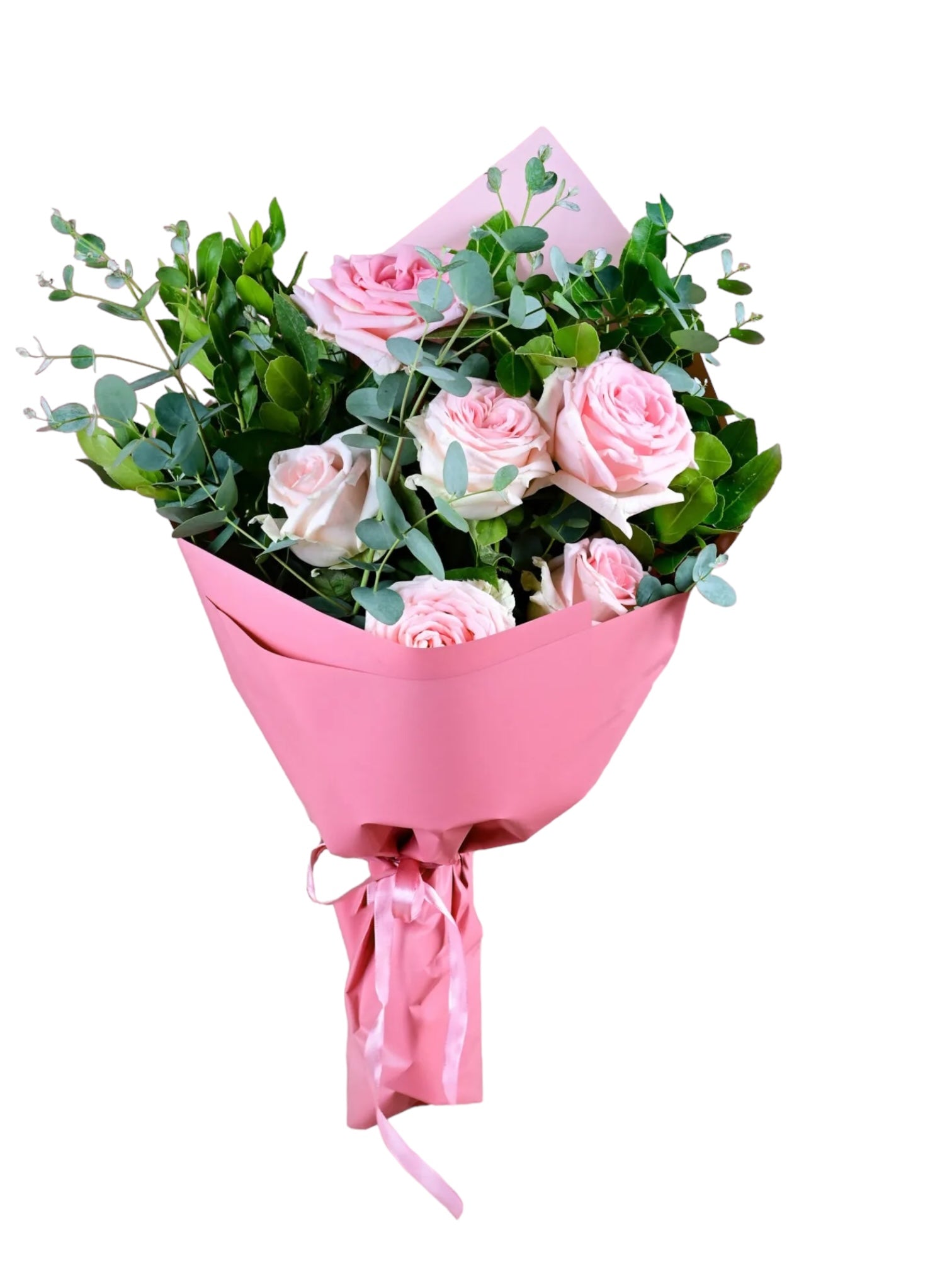 import placeholder for 2480