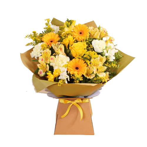 import placeholder for 3070